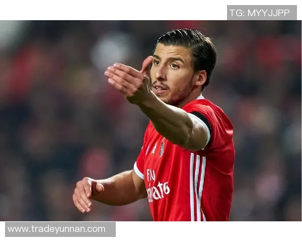 曼城狂胜本菲卡6-2战术解析全场瞬间高潮与惨败背后的秘密