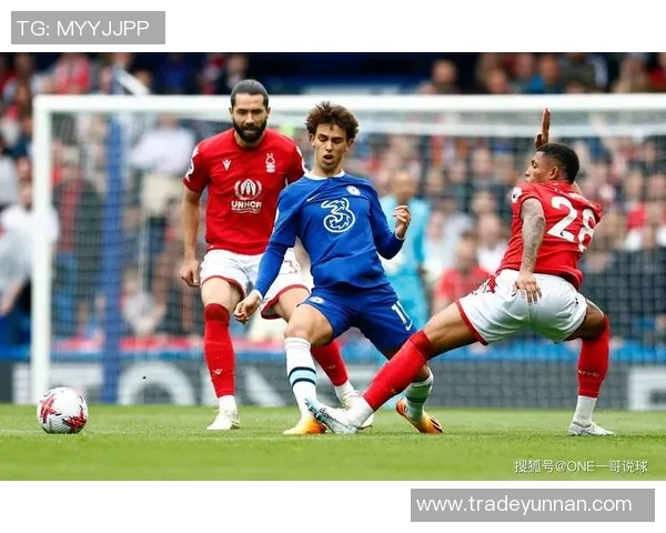 英超精彩对决波尔图逆转那不勒斯神扑时刻点燃全场激情