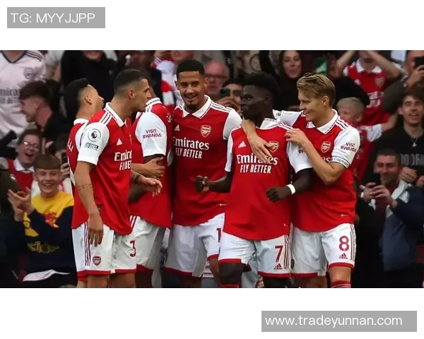 世界杯精彩对决阿森纳与利物浦战成平局引发全场热烈讨论